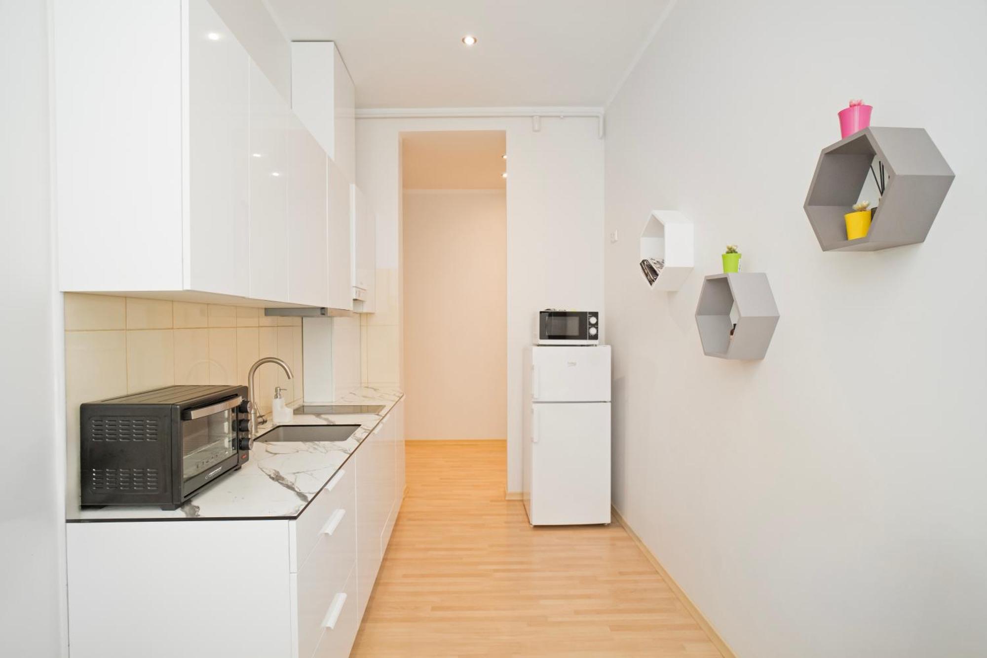 Kaunas Castle Apartments - One Bedroom Flat Esterno foto